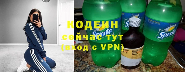 МДПВ Богородск