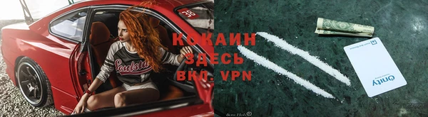 ешки Богданович