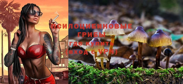 МДПВ Богородск
