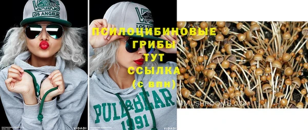 ешки Богданович