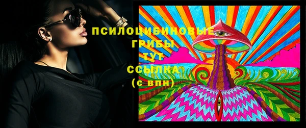 гидра Тайга