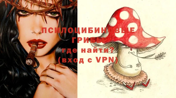 ешки Богданович