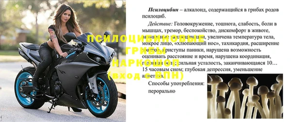 кокс Богородицк
