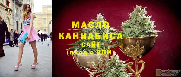 МДПВ Богородск