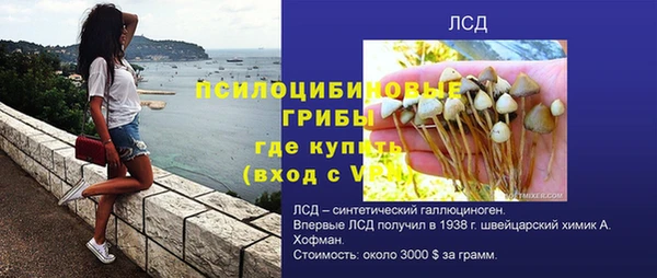 ешки Богданович
