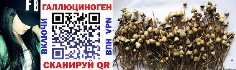 Галлюциногенные грибы прущие грибы  Называевск 